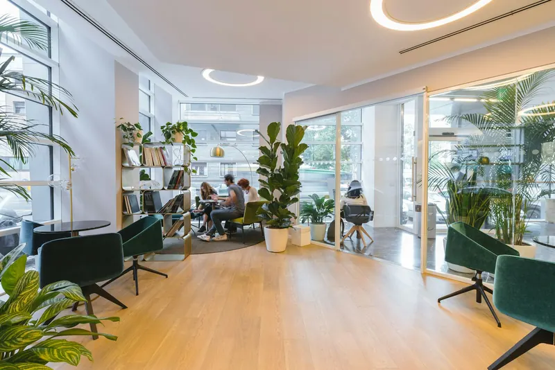 A bright, modern office with natural light, plants and clean workspaces